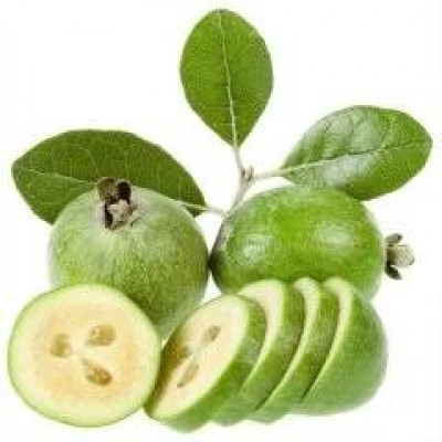  Lezzetli Feijoa Kaymak Ağacı Fidanı
