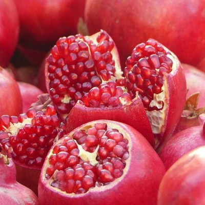 Tüplü Sofralık Wonderful Nar Fidanı